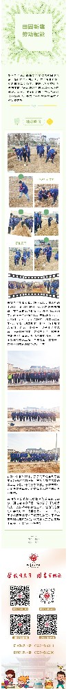 田园新趣，劳动赋能——曲阜夫子学校劳动教育进行时