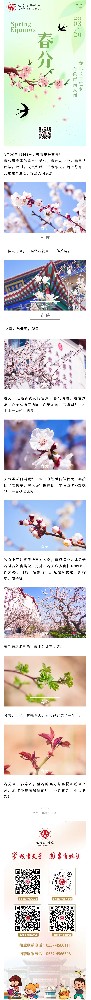 夫子节气风光春分.jpg