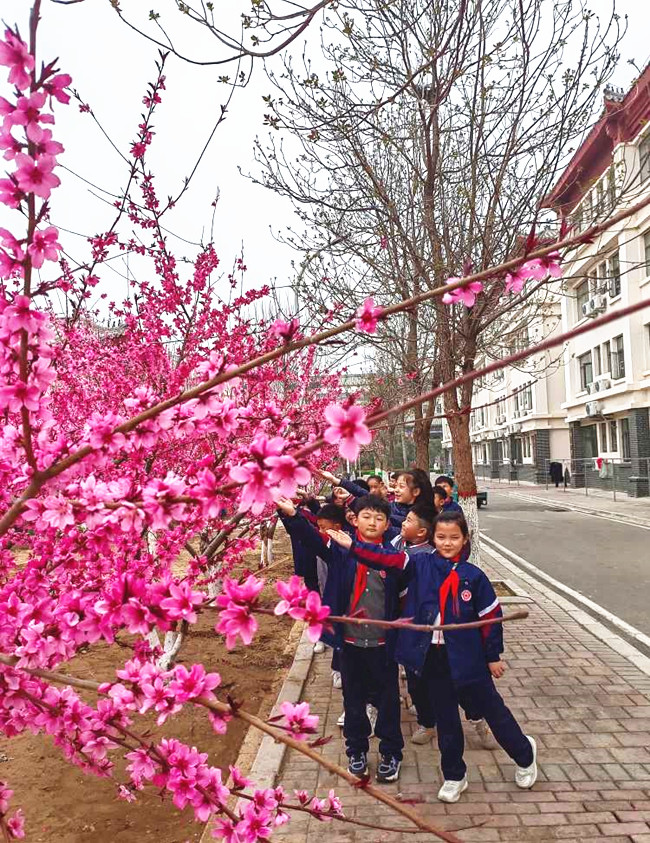 微信图片_20230327084828.jpg 微信图片_20230327084828.jpg