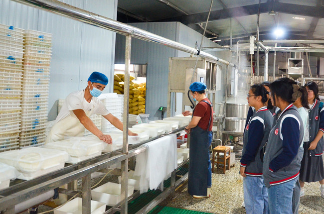 7 嫩豆腐 (1).jpg 7 嫩豆腐 (1).jpg