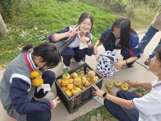 图片2.jpg 图片2.jpg