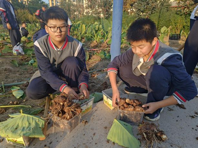 图片3.jpg 图片3.jpg