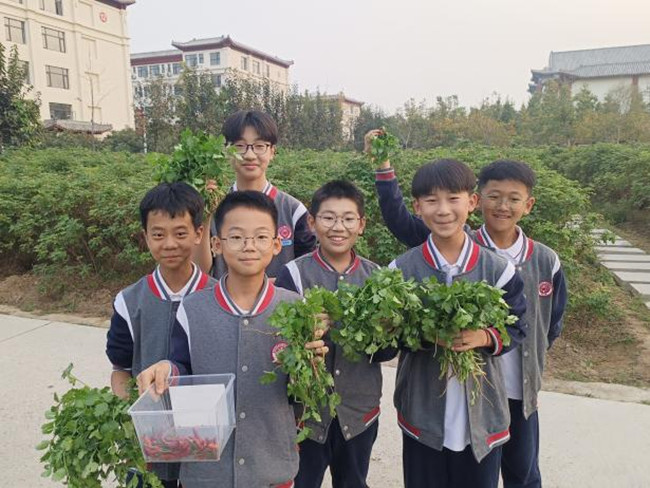 图片5.jpg 图片5.jpg